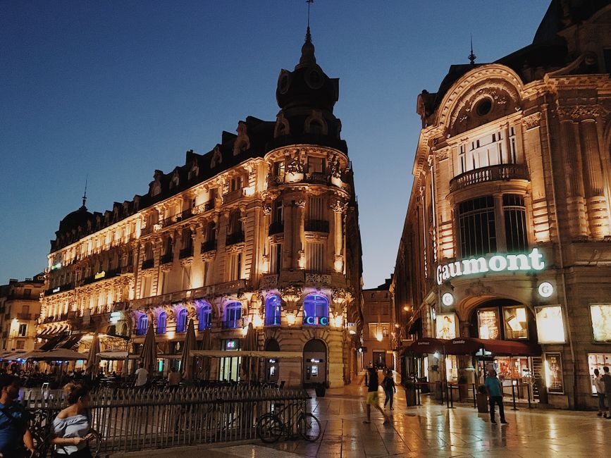 Tout savoir sur le quartier Aiguelongue à Montpellier + avis