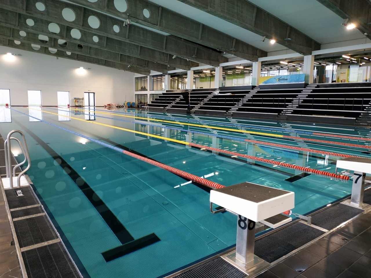 Bassin sportif de la piscine Kibitzenau à Strasbourg avec ses couloirs de nage